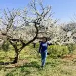 Phản hồi của khách hàng